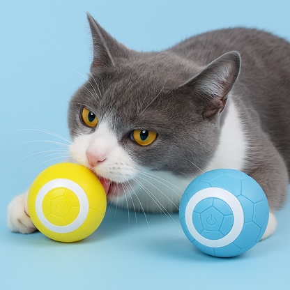 Electric Pet Toy Ball