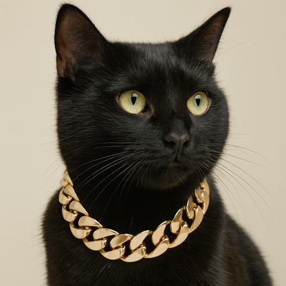 Pet Necklace Chain, Pet Accessories, Gold Chain for Pets